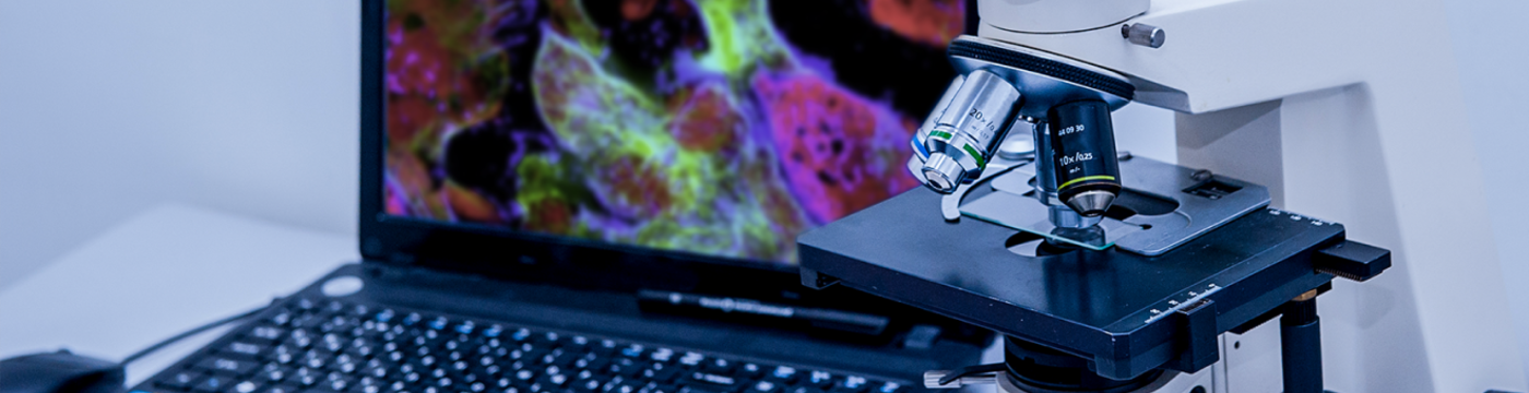 A computer displays a stained tissue biopsy in high resolution, next to a microscope 