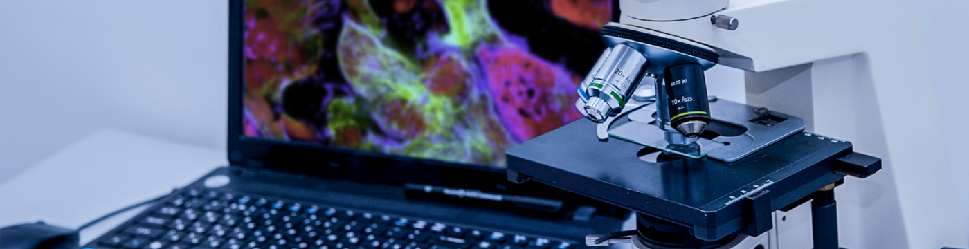 A computer displays a stained tissue biopsy in high resolution, next to a microscope